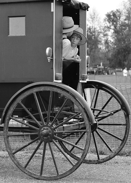 Buggy Hire