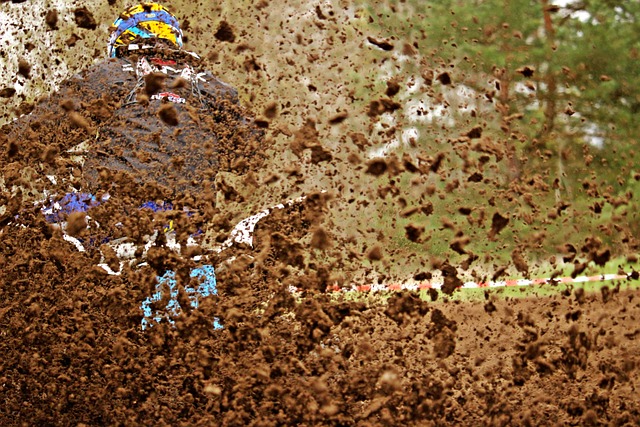 buggy-quad-640x480-3683254.jpeg