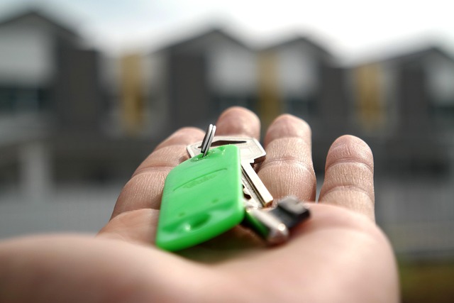 buggy rent