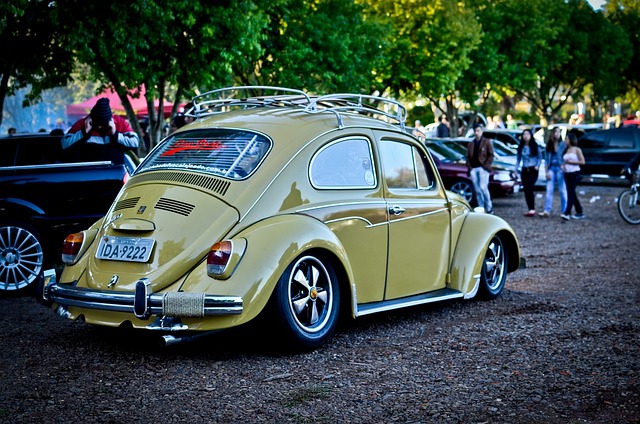 buggy rental