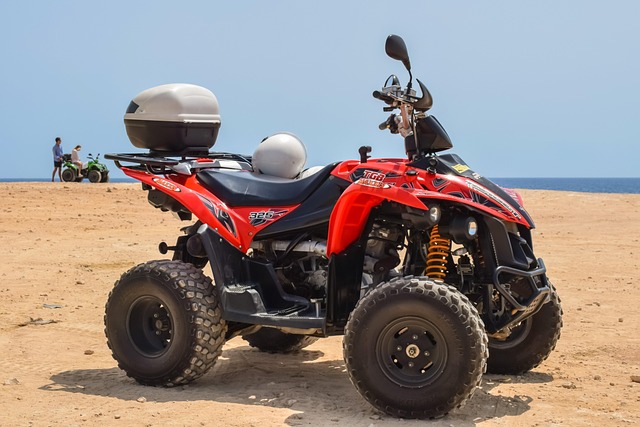 buggy-rental-640x480-79888926.jpeg