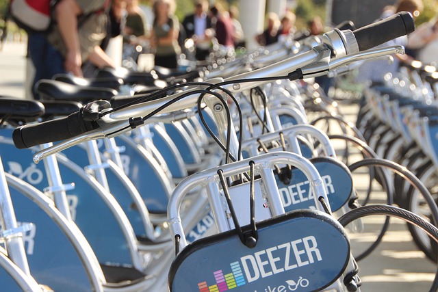 Buggy Rentals