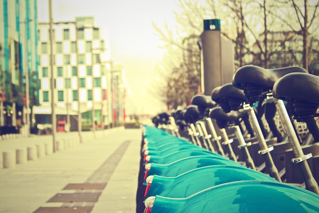 Buggy Rentals