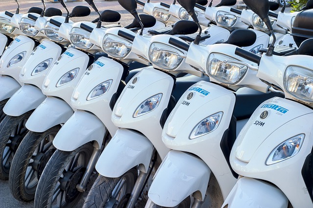 Buggy Rentals
