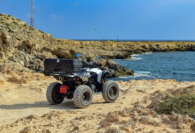 Buggy Rentals