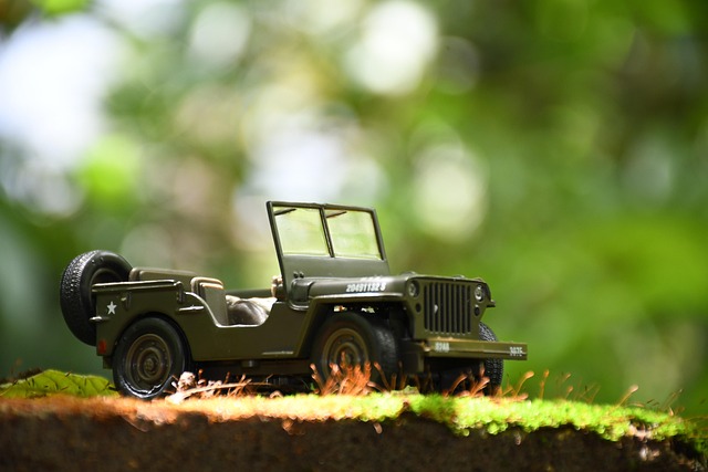 Buggy Rentals