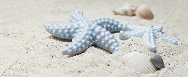 buggy sand