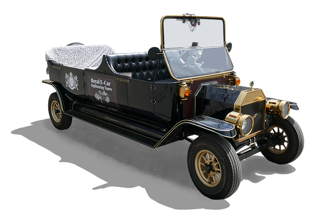 buggy tour