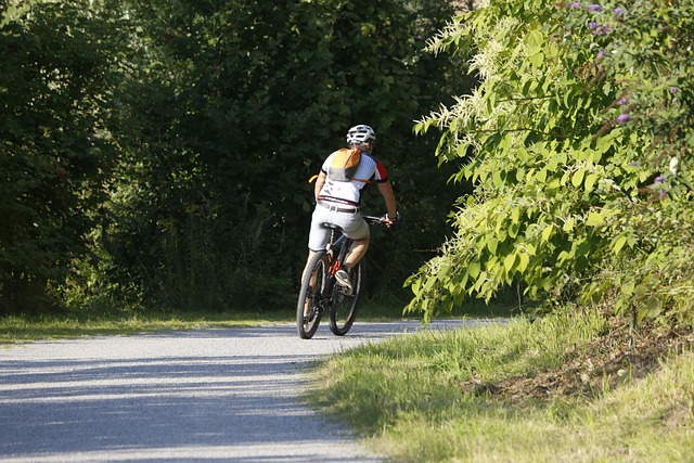 buggy-tour-640x480-81740215.jpeg