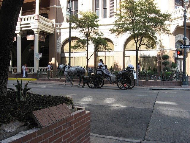 buggy tours