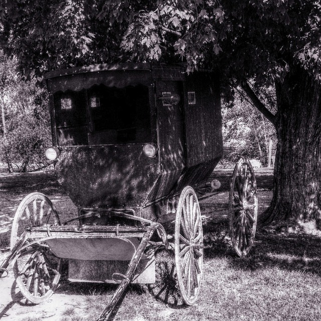 buggy-tours-640x480-63556631.jpeg