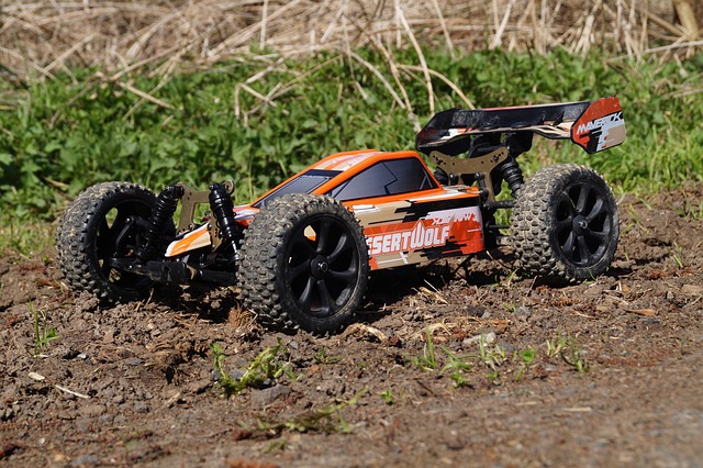 Buggy Tours