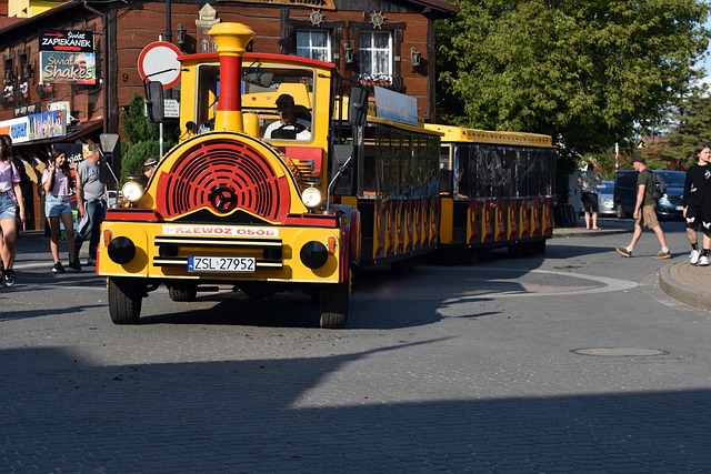 Buggy Tours