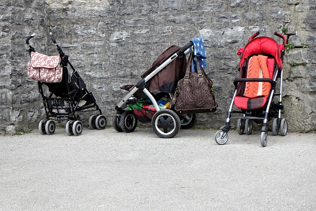 buggy trip