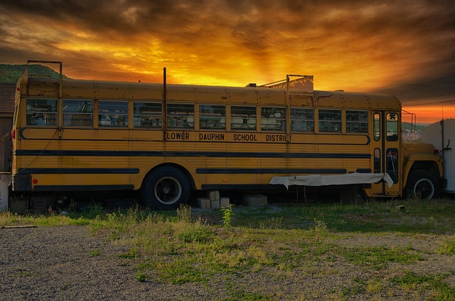 bus hire