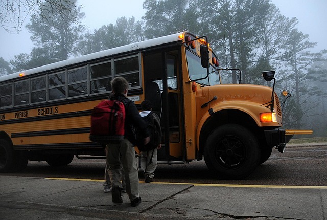 bus hire