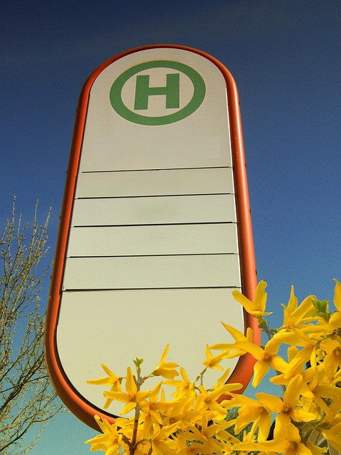bus hire