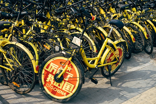 bus rental