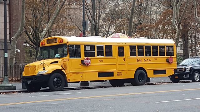bus rental