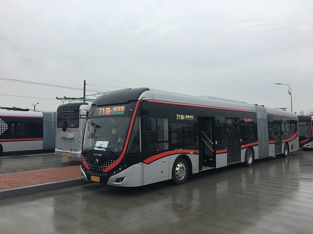 bus rental