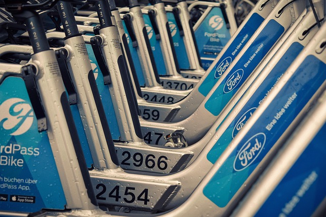 bus rental