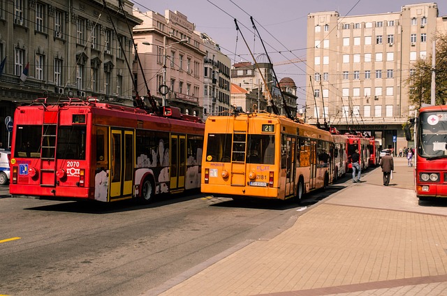Bus rental