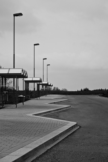 bus rental
