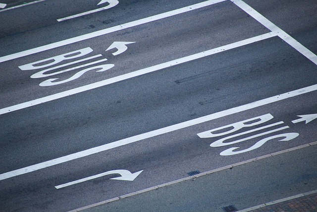 Bus rental