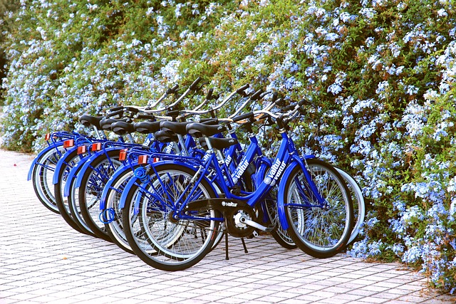 bus rental