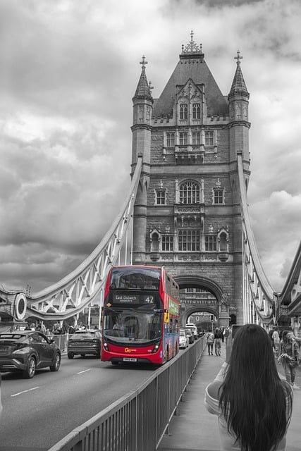 Bus rental