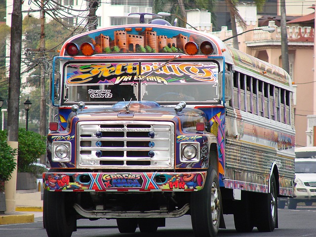Bus Tours