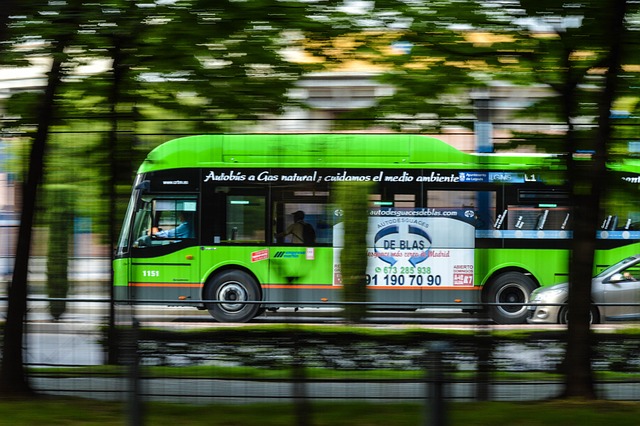 Bus Tours