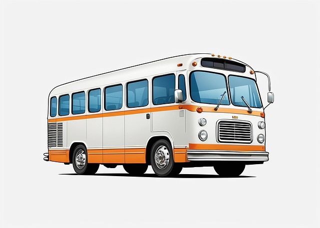 Bus Tours