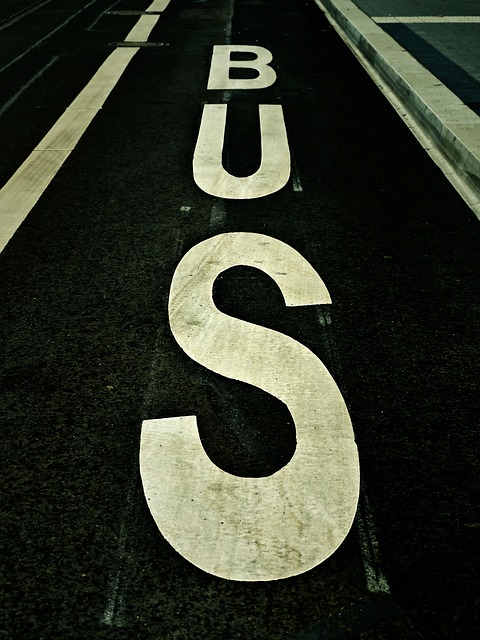 Bus Tours