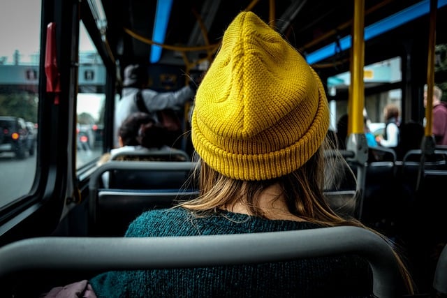 Bus Tours