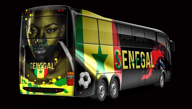 Bus Tours