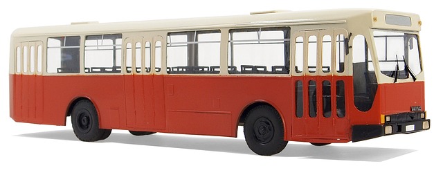buses