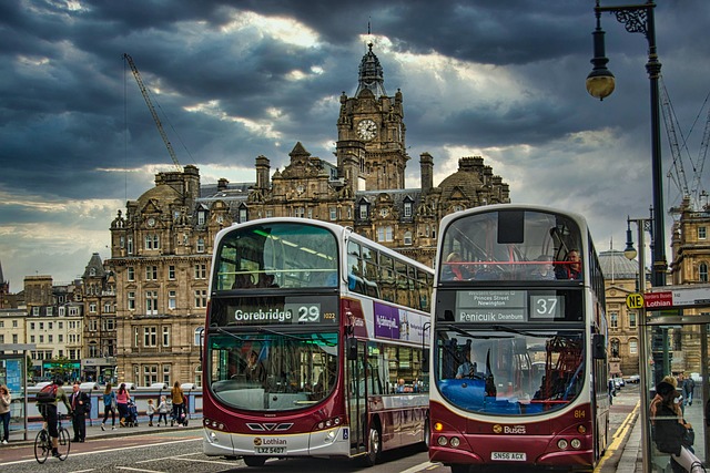 buses