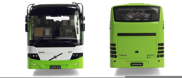 buses