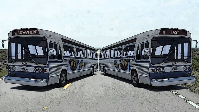 buses