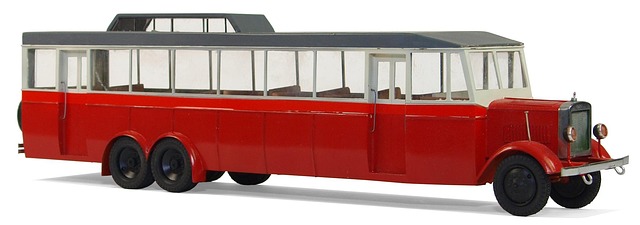 buses