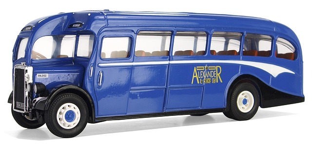 buses