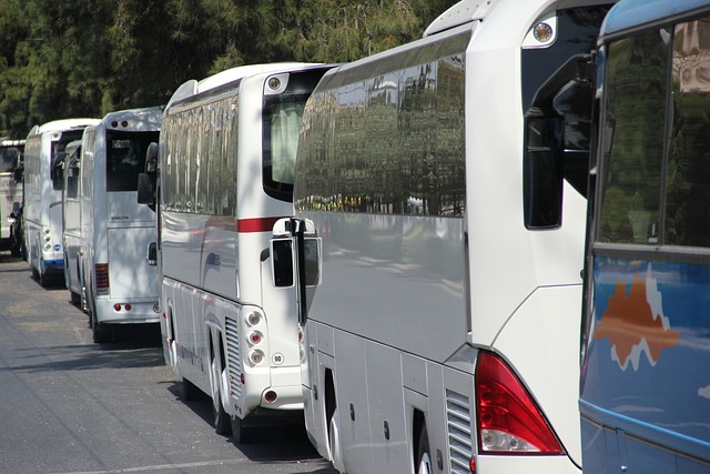 buses