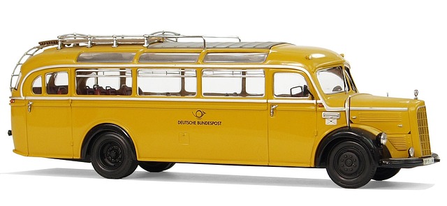 buses