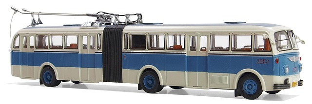 buses