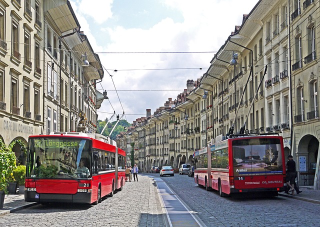 buses