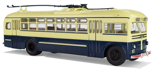 buses