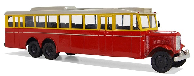 buses