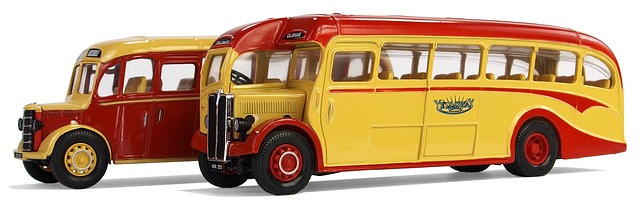 buses