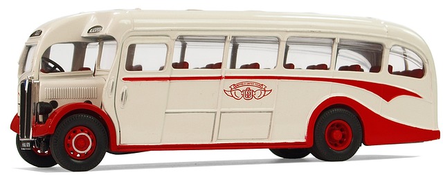 buses